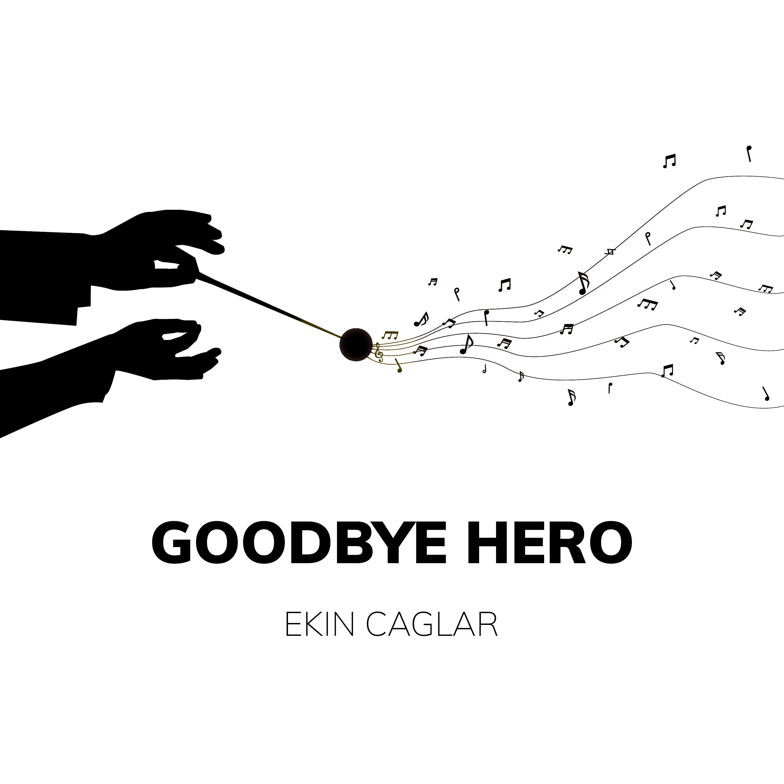 Goodbye Hero